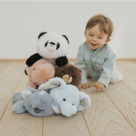 Maskotka leżąca Koala, Pluszak Teddykompaniet, 26cm PREZENT DLA DZIECKA